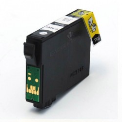 Epson T1281