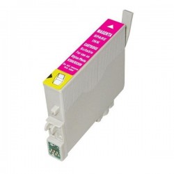 Epson T0613