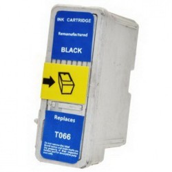 Epson T066