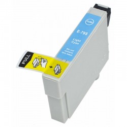 Epson T0795