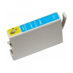 Epson T0542