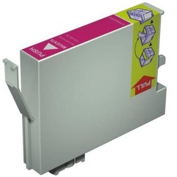 Epson T0543