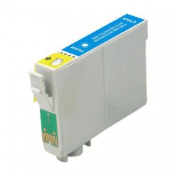 Epson T0872